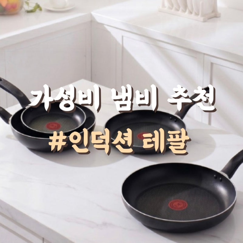 자취방 가성비 냄비 추천, 테팔 인덕션용 3주 써본 후기