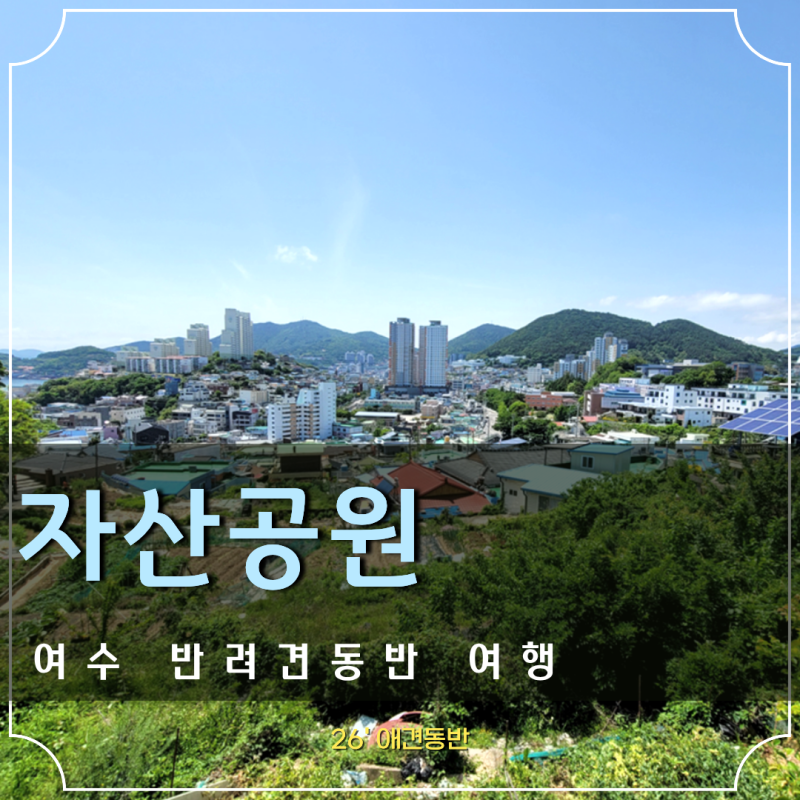 여수 반려견동반 여행 오동도 대신 자산공원 ft.애견동반