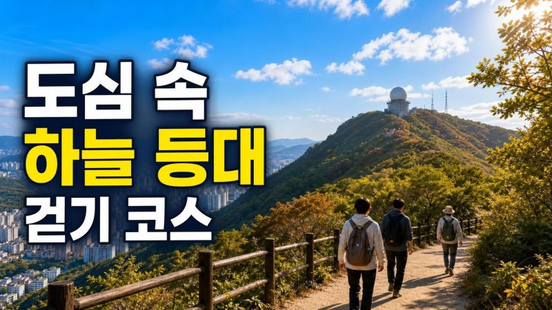 안양항공무선표지소 걷기 코스 완전정리: 비봉산 전망부터 계절별 포인트까지