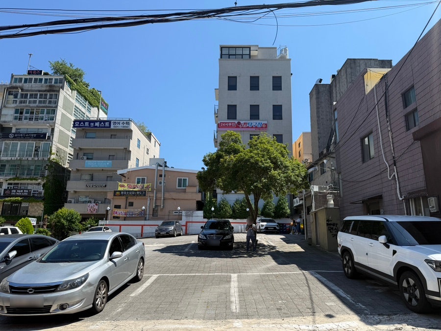 주문진막국수 사진 5