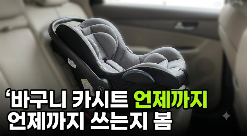 바구니 카시트 언제까지 쓸 수 있을까 저렴하게 사는 방법까지 정리