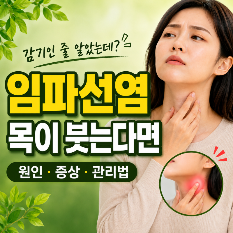 감기인 줄 알았는데 목이 붓는다면? 임파선염 증상부터 [임파선] 붓는 이유, 멍울과 통증까지....
