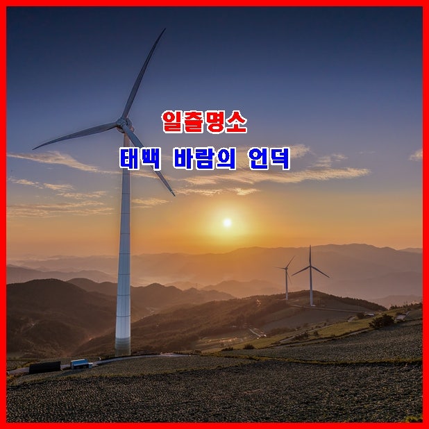 강원도일출명소 추천! 강원도태백시가볼만한곳 태백바람의 언덕 배추밭 황홀한 일출 여행(....