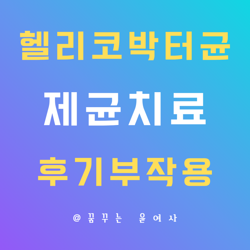 헬리코박터균 제균치료 시작 직접 경험한 증상과 후기