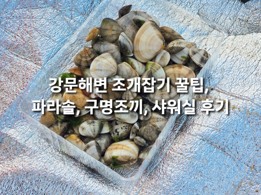 정남미명과 수평선점 사진 1