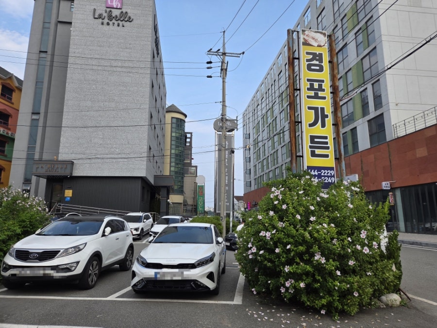 경포가든 사진 3