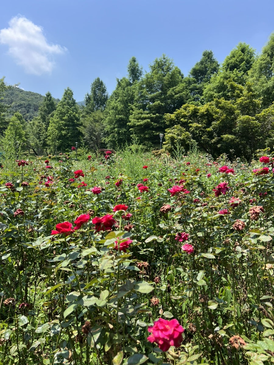 폴바셋 고창선운사점 사진 6