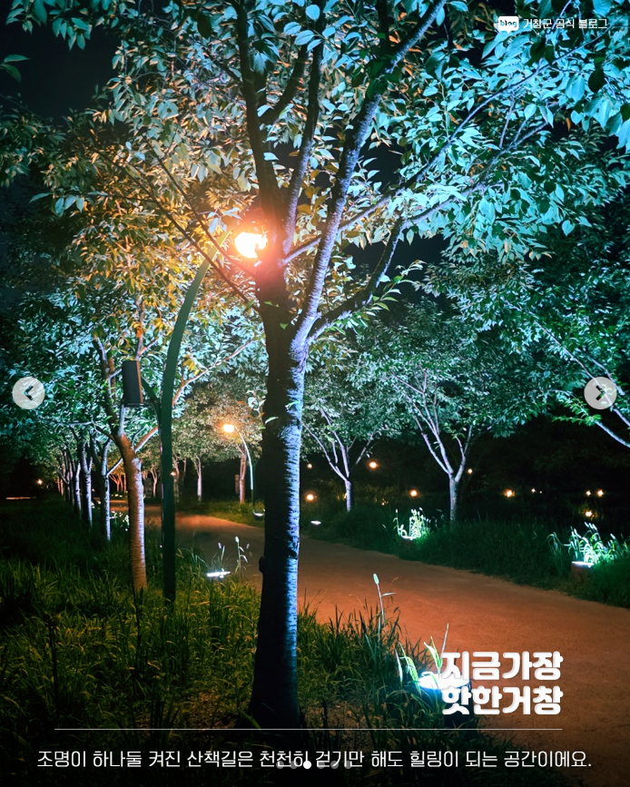 거창창포원 사진 3