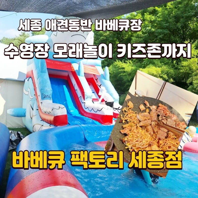 세종 가볼만한 곳 애견동반 가능한 바베큐팩토리 세종점 명당 추천! 여름 물놀이부터 키즈카....