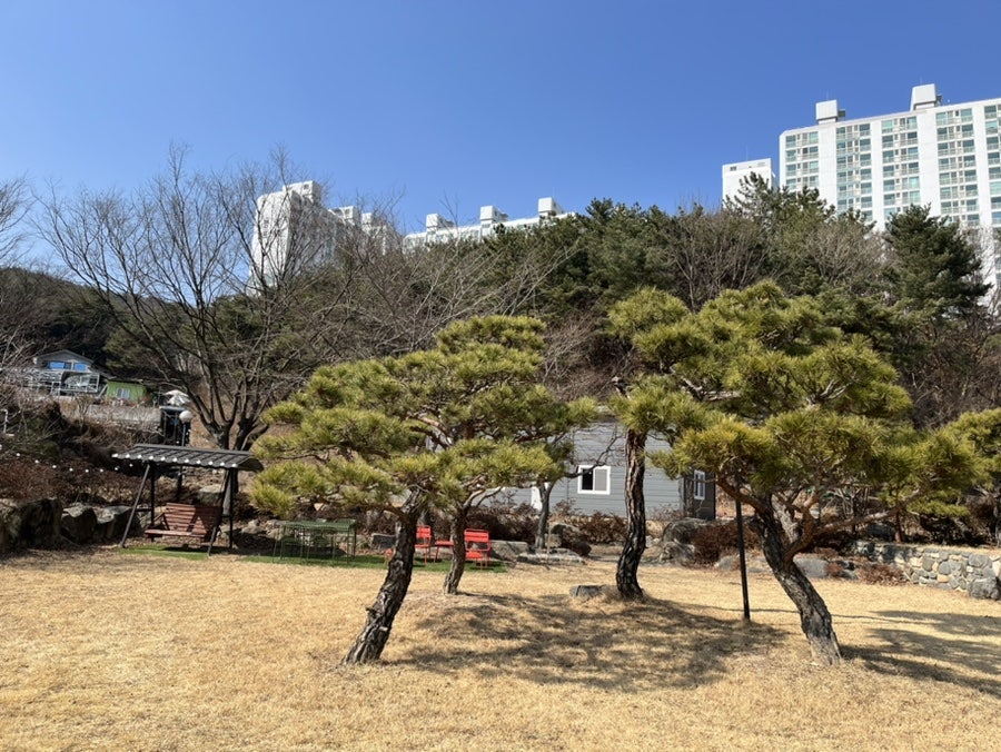 단안 사진 2