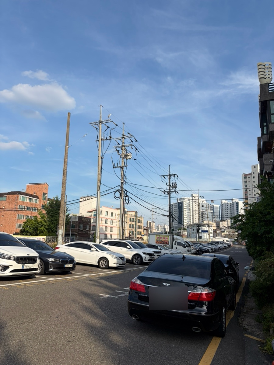 금산래 사진 6