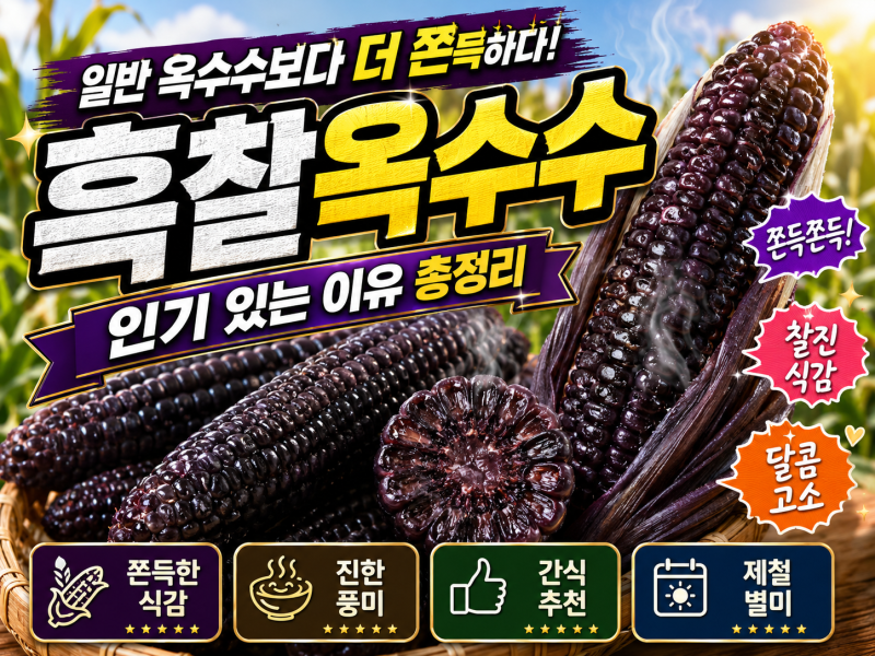 일반 옥수수보다 더 쫀득하다｜흑찰옥수수가 인기 있는 이유