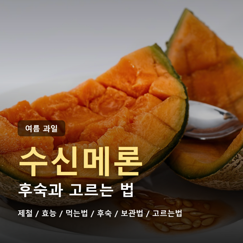 수신메론 후숙과 먹는법, 제철 효능 보관법