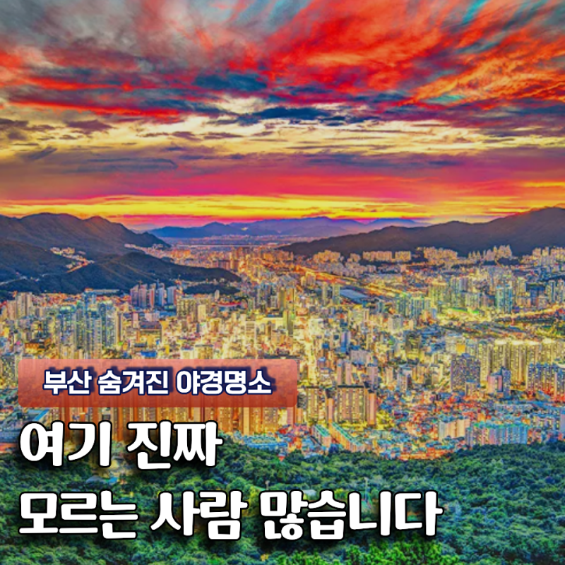 광안리보다 조용하고 해운대보다 오래 남았습니다 부산 야경명소 TOP 5