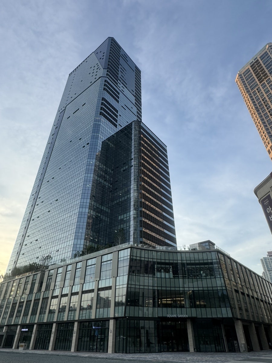 코스모스 부산 사진 3