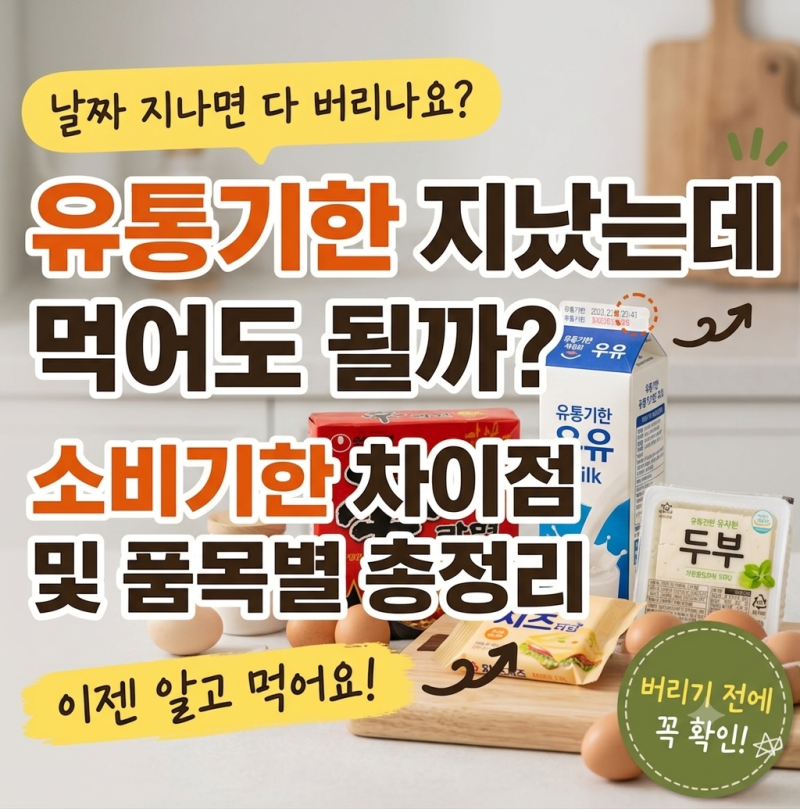 유통기한 지났는데 먹어도 될까? 소비기한 차이점 및 품목별 기간 총정리