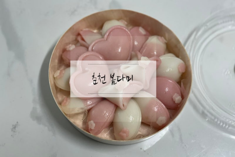 춘천상견례선물 후평동 답례떡 품격있는 봄다미