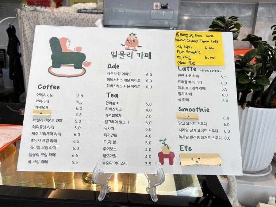 밀물리 사진 3