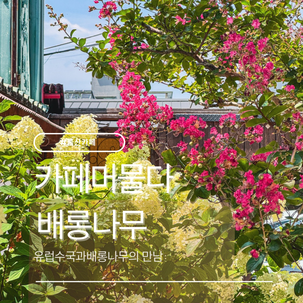 개화 사진 1