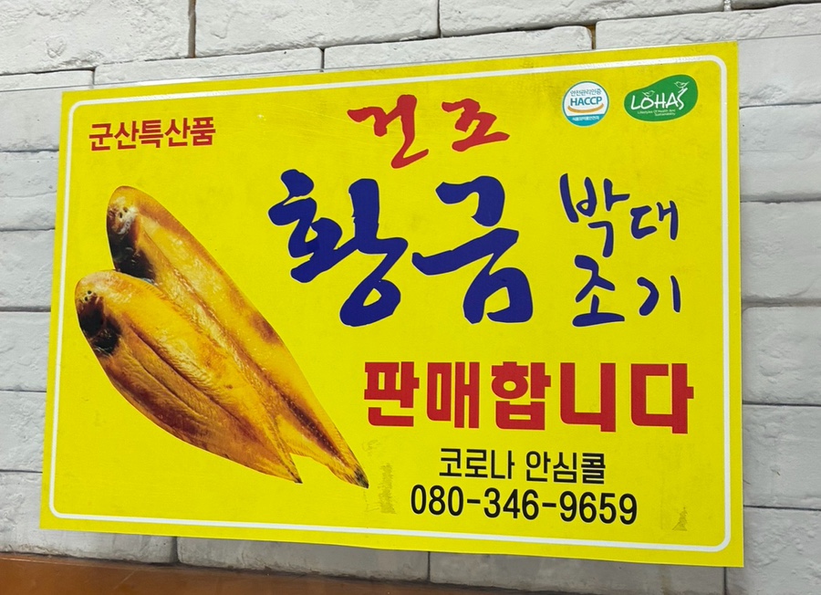 구이나라 사진 5
