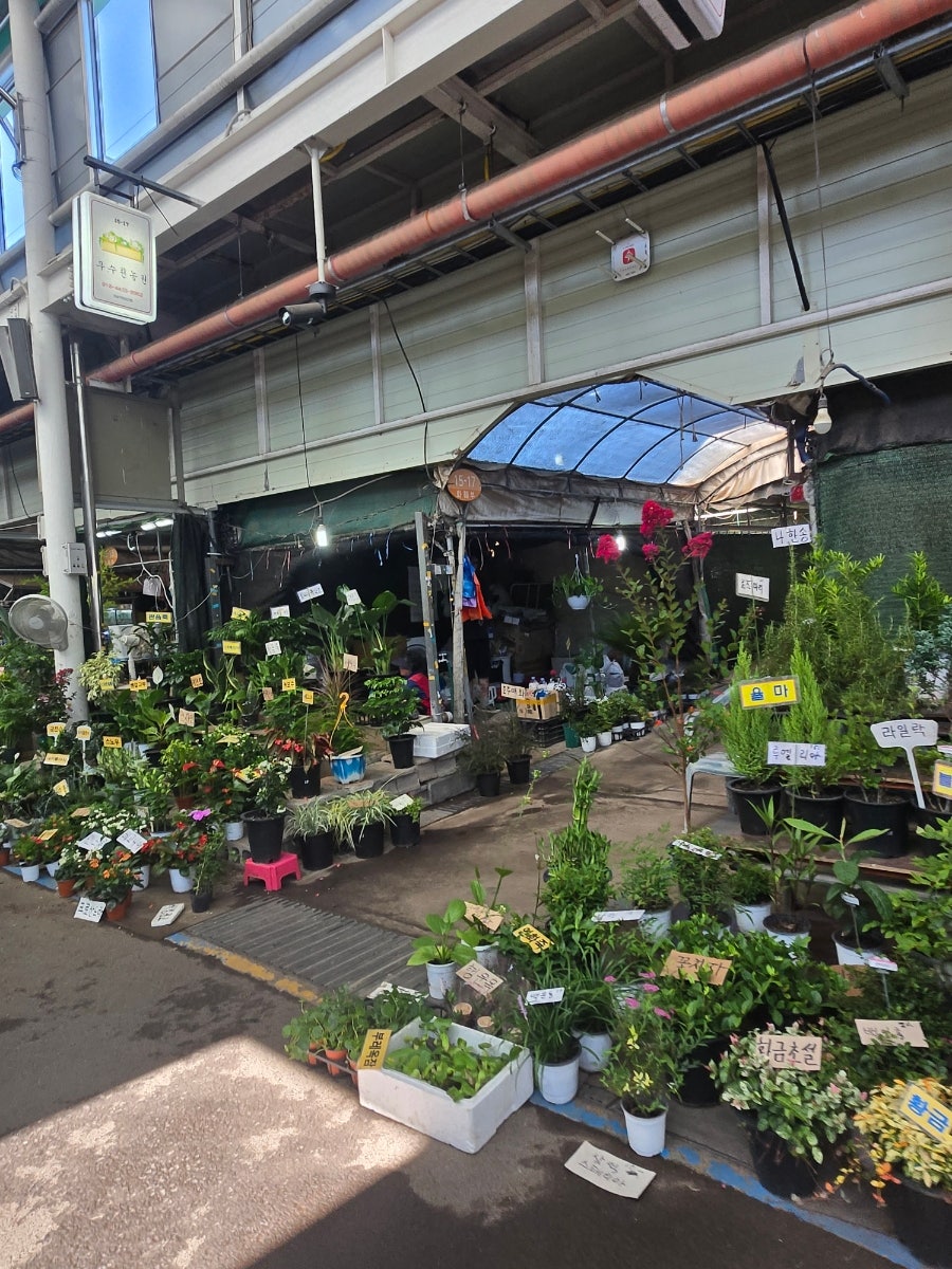 서귀포 한달살기 사진 3