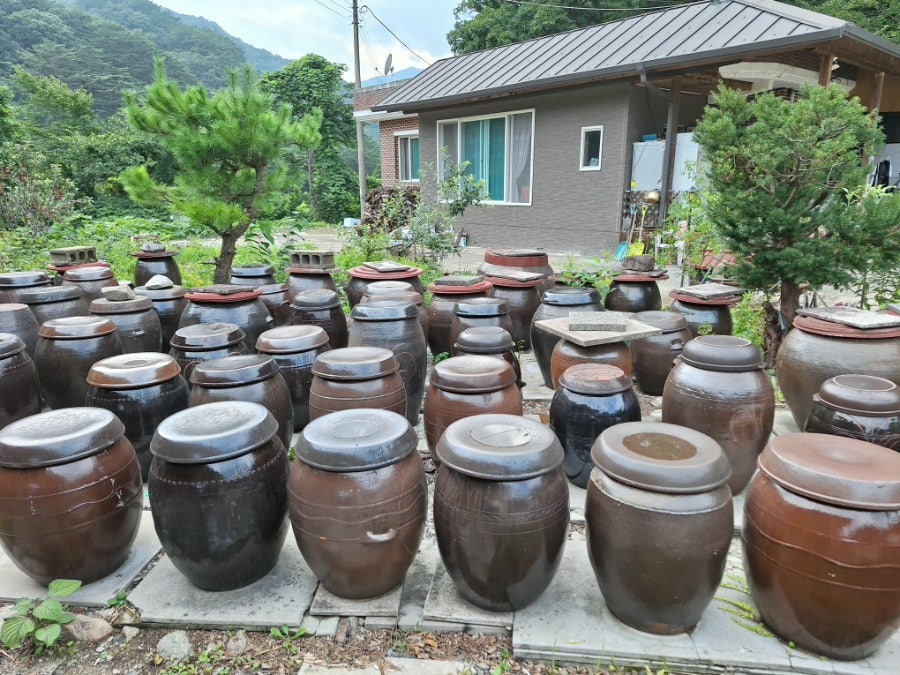 각두골 사진 4