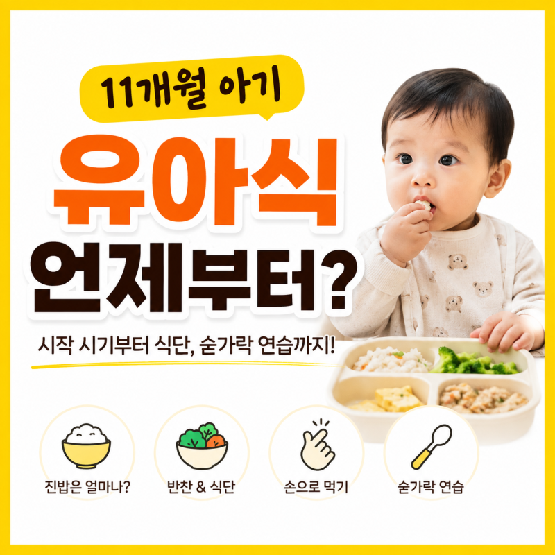 11개월 아기 유아식, 언제부터 어떻게 시작해야 할까? 전환 시기·진밥·식단까지