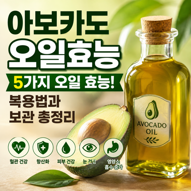 아보카도, 오일효능 5가지 오일 효능! 복용법과 보관 총정리