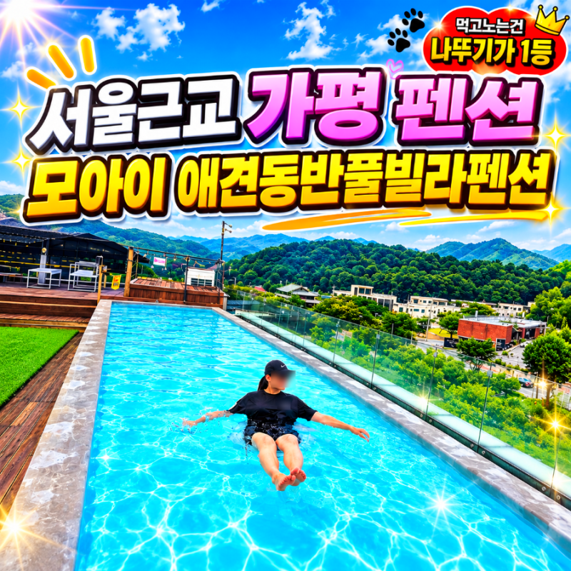 서울근교 풀빌라 가평 모아이 애견동반풀빌라 펜션 후기