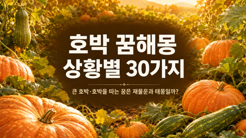 호박 태몽 뜻｜큰 호박·애호박·호박을 따는 꿈 상황별 풀이