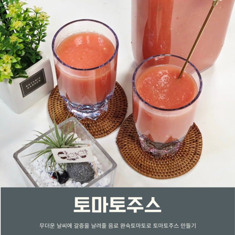 토마토주스 만드는 방법 토마토쥬스 효능 올리브유 요구르트로 간편레시피