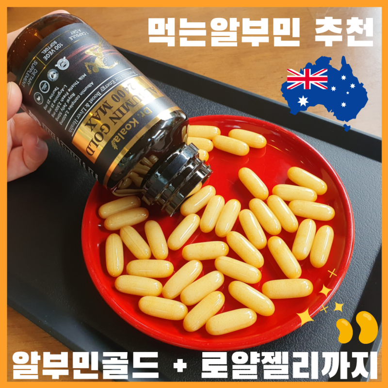 알부민골드 로얄젤리까지 한번에 먹는알부민 추천