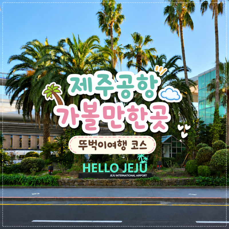제주공항 근처 가볼만한곳 뚜벅이 여행코스, 동문시장 용두암 하루 일정