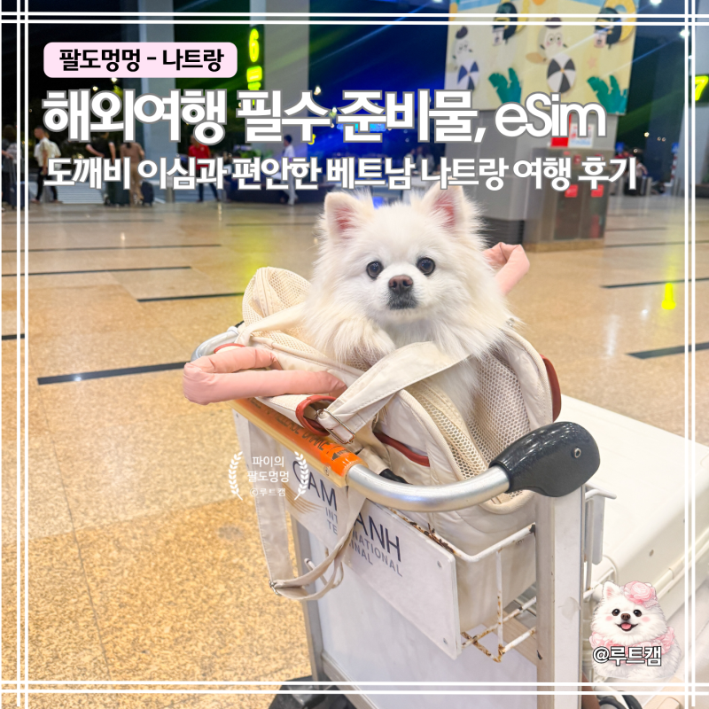 베트남 이심 무제한 추천｜통화까지 가능한 로밍도깨비 eSIM 후기