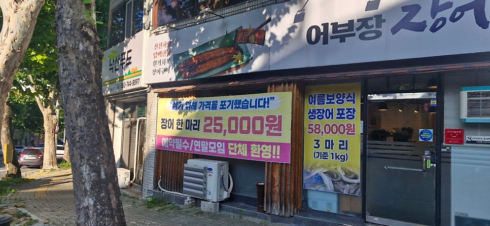 어부장장어 사진 5
