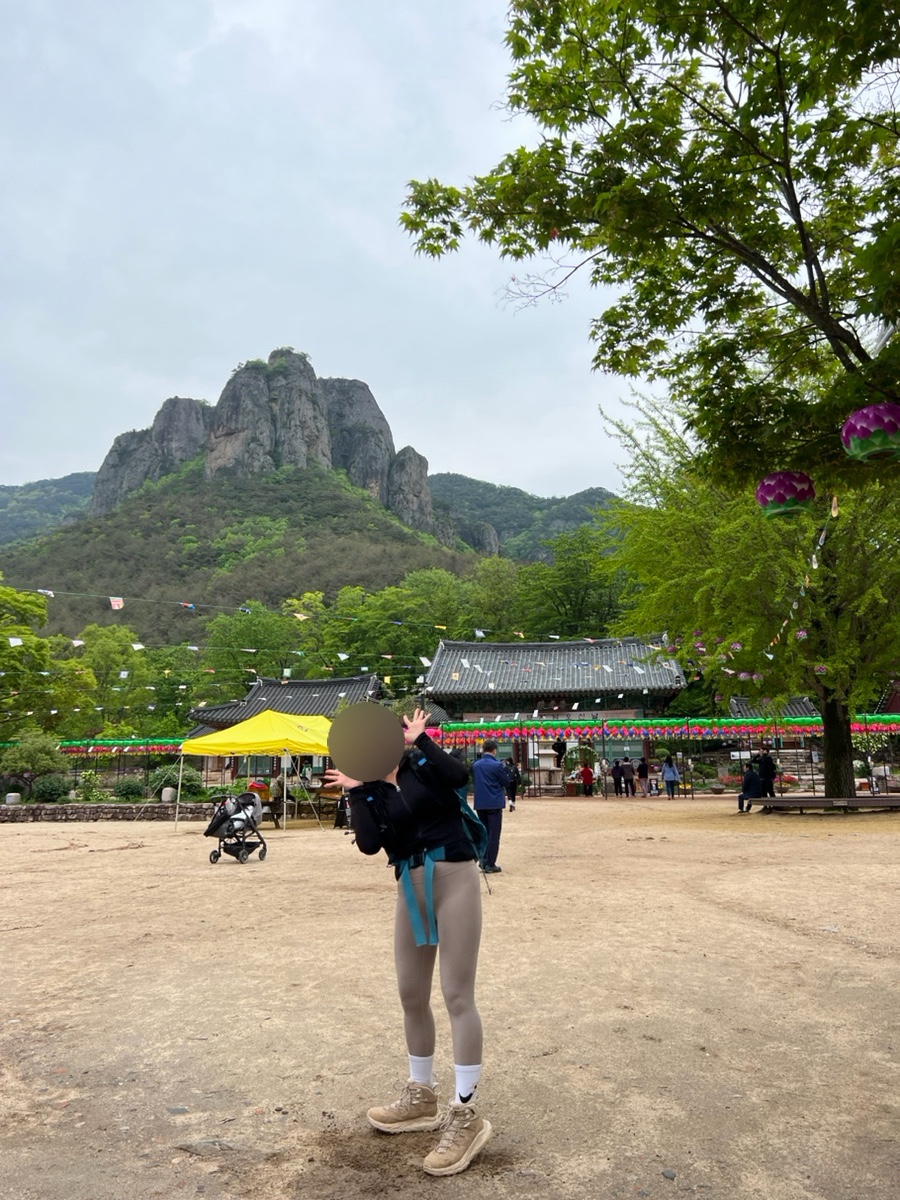 주왕산청솔식당 사진 1