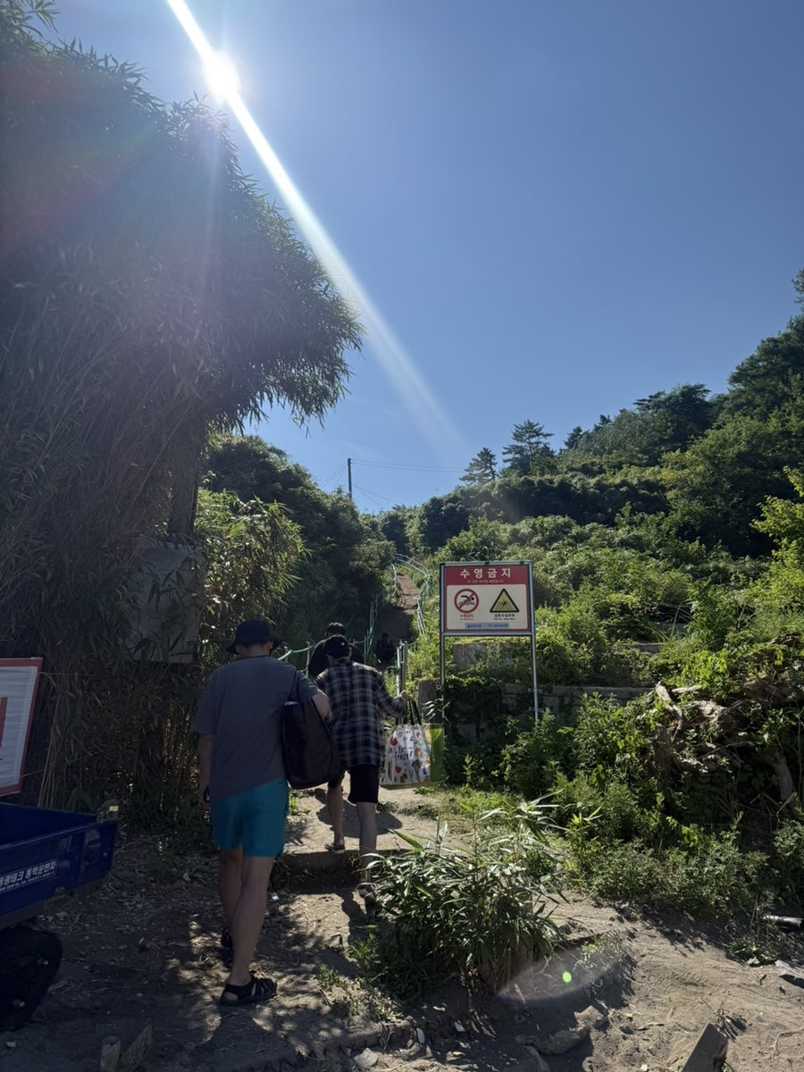 선창해변 사진 5
