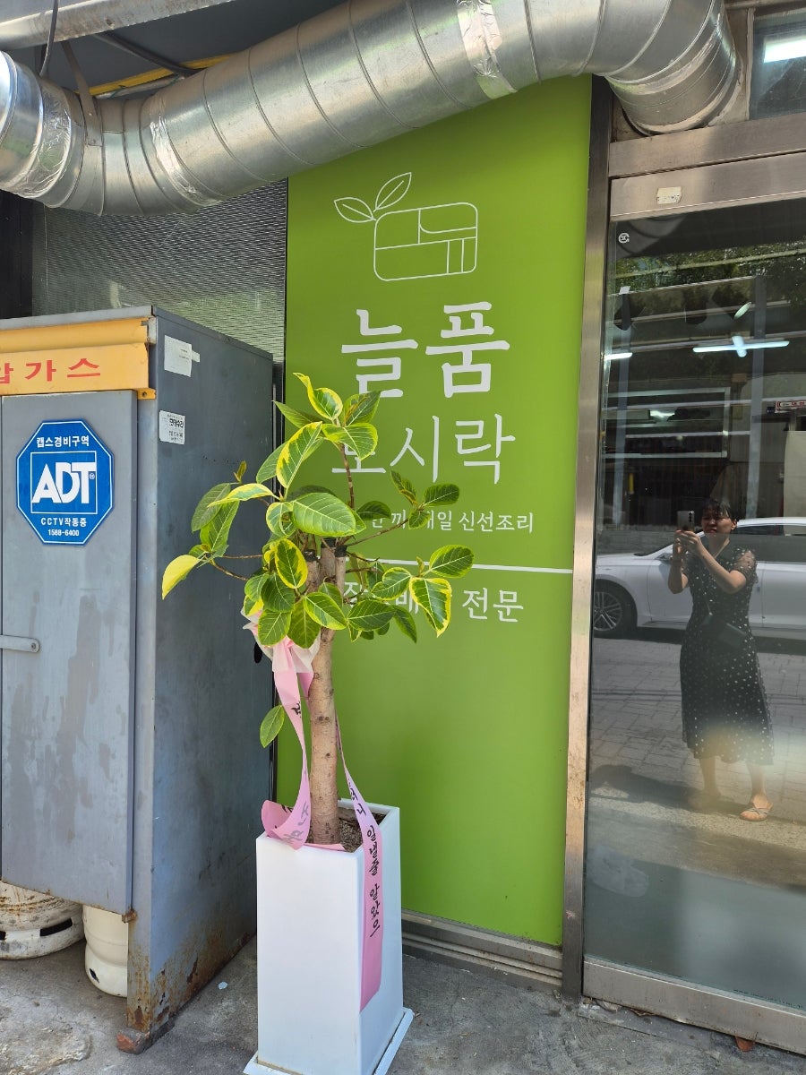 늘품 사진 4