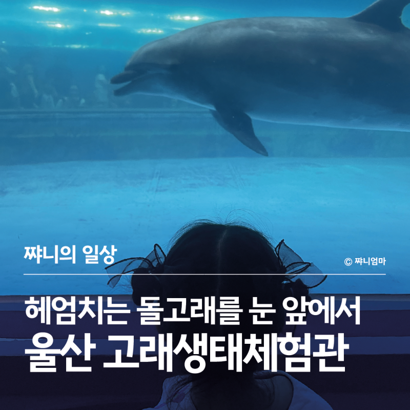 부산 근교 아이랑 실내 가볼 만한 곳 | 울산 장생포 고래생태체험관 후기 돌고래 입장료 주....