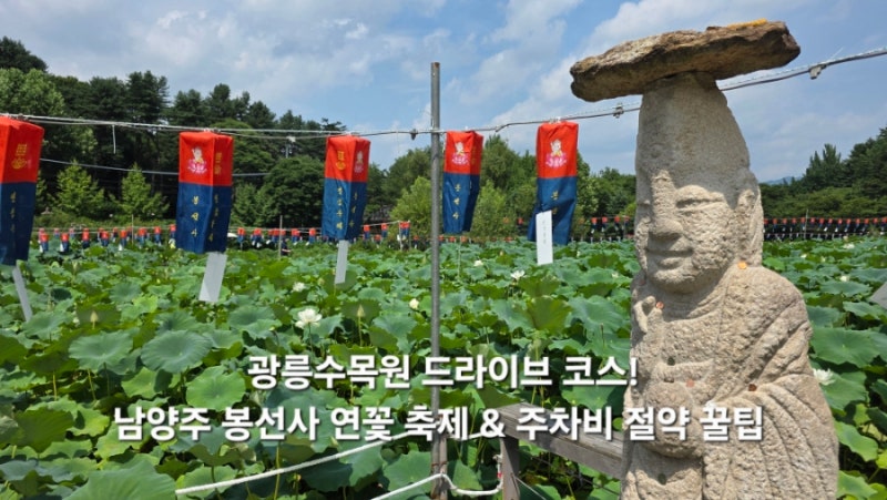 남양주 가볼만한곳 봉선사 연꽃 실시간 개화 상태 주차 꿀팁 및 카페 총정리