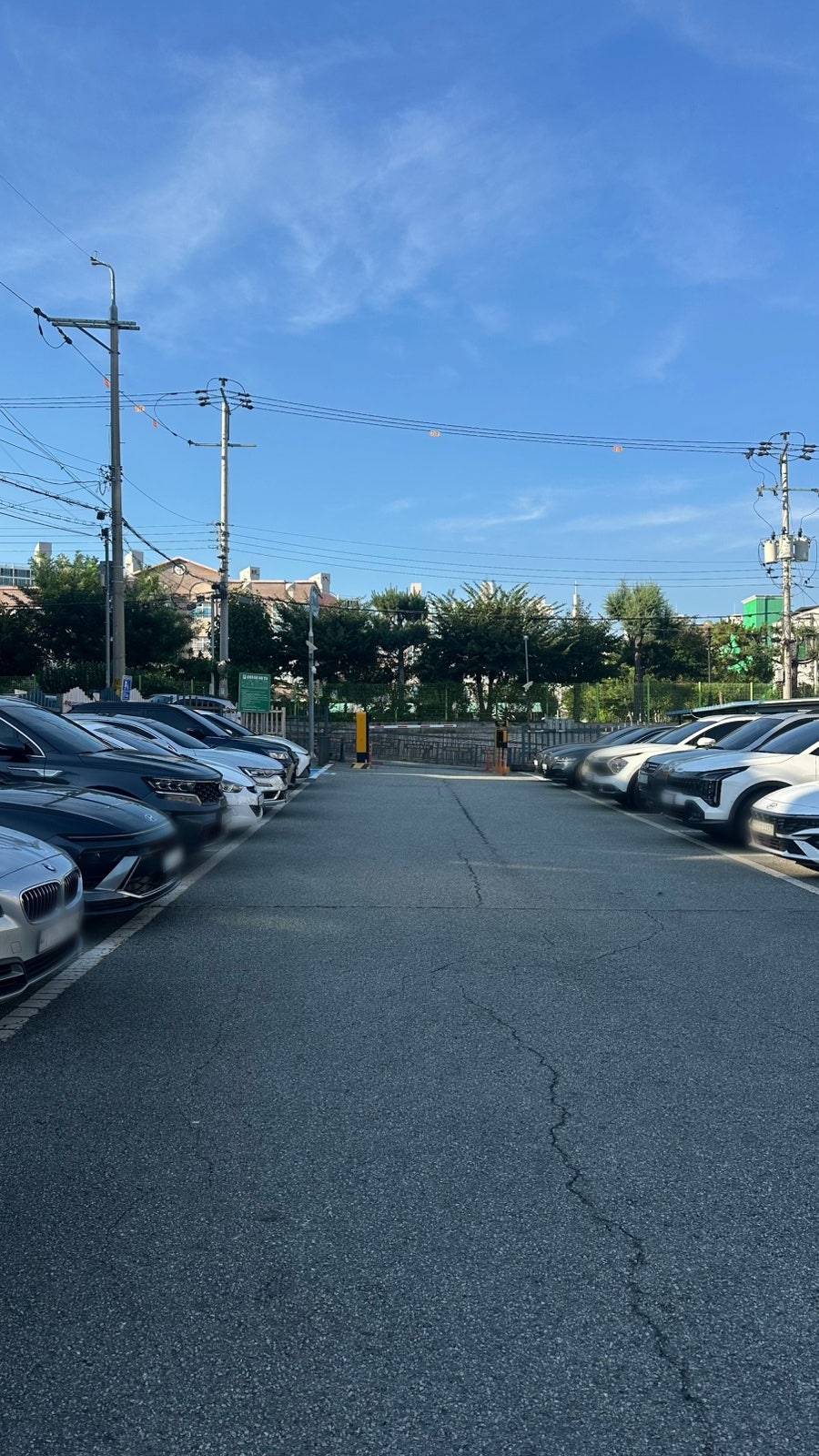 도화정 사진 2
