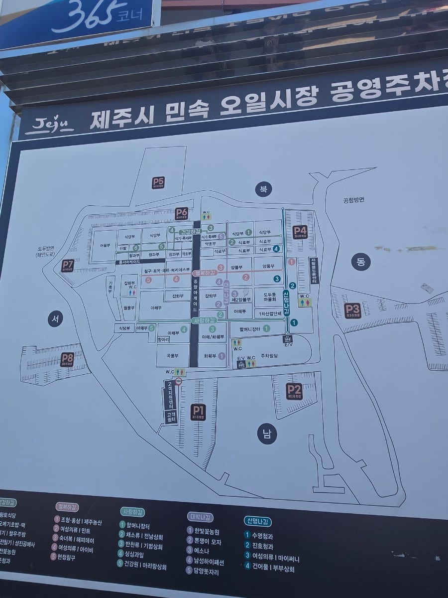 서귀포 한달살기 사진 2