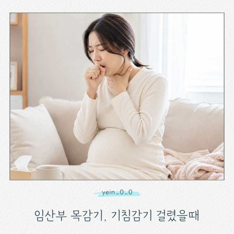 임산부 기침 감기, 목감기 약 먹어도 될까? 임신 중 안전한 관리법 총정리