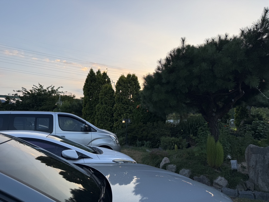 카페모네 사진 2
