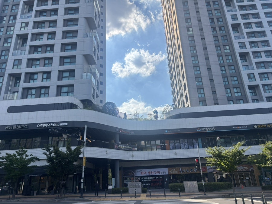 프랑킨바베큐치킨 시지점 사진 2