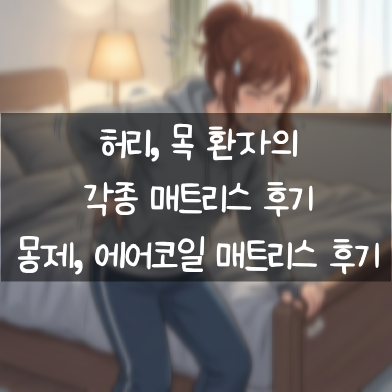 허리, 목 환자의 몽제&에어코일 매트리스 찐후기! | 몽제 매트리스, 에어코일 매트리스