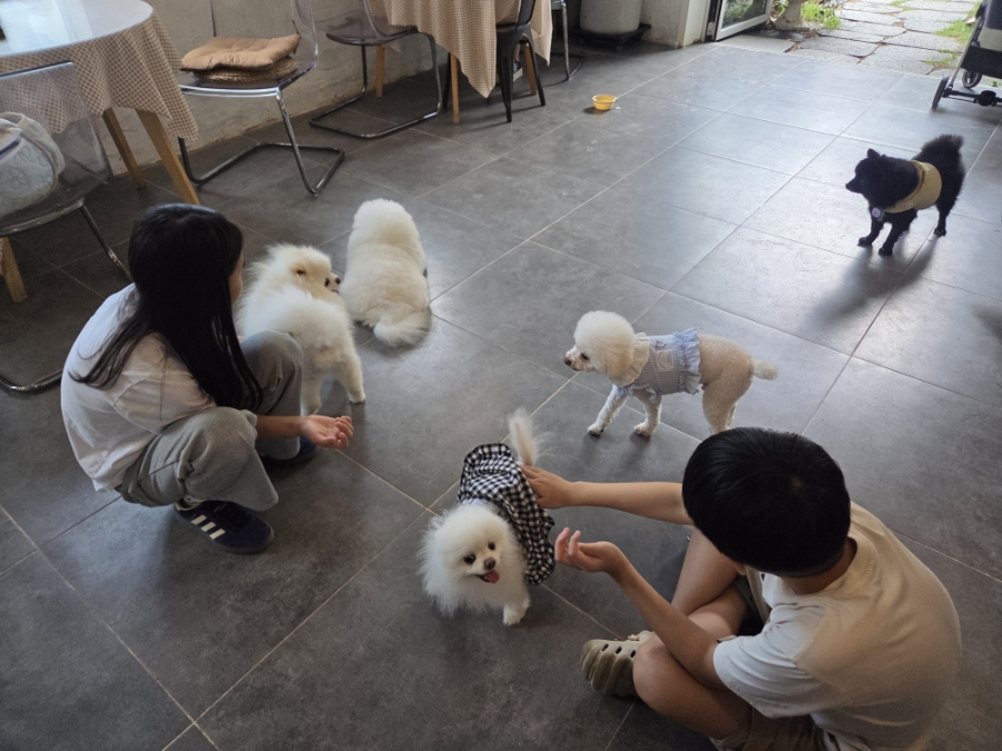 11월4일 사진 5