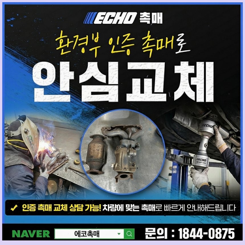 봄 사진 6