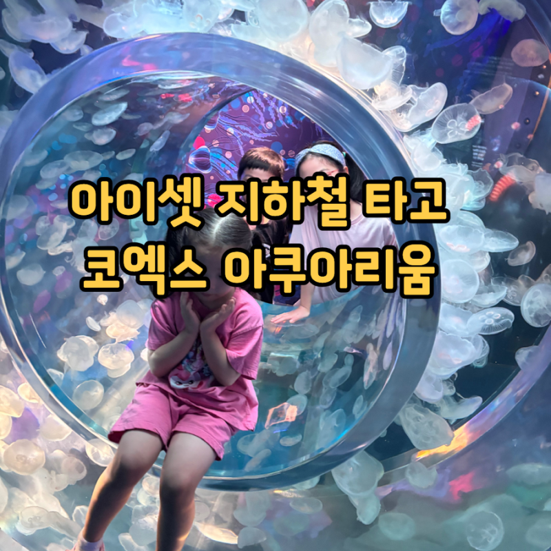 서울 아이와 가볼만한곳 코엑스 씨라이프 아쿠아리움, 아이와 지하철 타고 방문 가능할까?