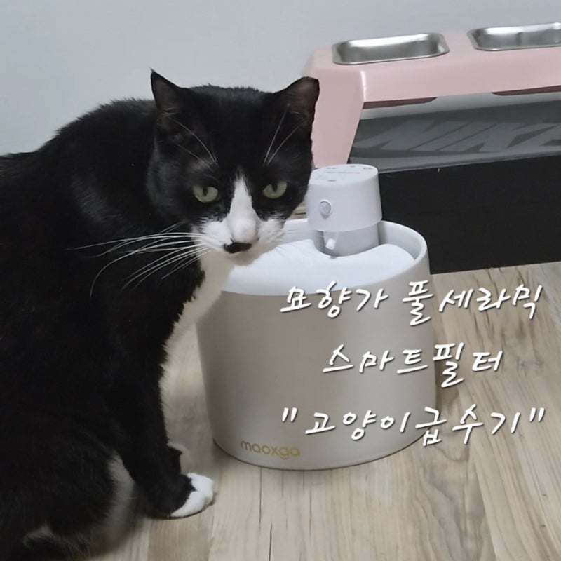 조용하고 풀세라믹으로 위생적인 묘향가 고양이정수기